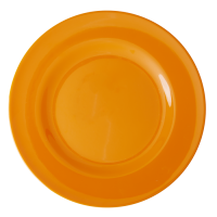 Tangerine Orange Melamine Dinner Plate Rice DK